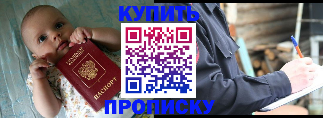 прописка поиск в Палласовке